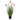 Rudbeckia Grass - Pink - Potted - Artificial