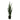Sansevieria zeylanica - Snake Plant - Potted - Artificial