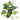 Scindapsus Bush - Green White - Potted - Artificial