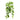 Scindapsus Hanging Bush - FR - Green Yellow - Artificial