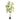 Terminalia Tree - Potted - Artificial